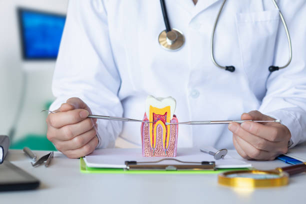 Best Emergency Wisdom Teeth Removal in Privateer, SC